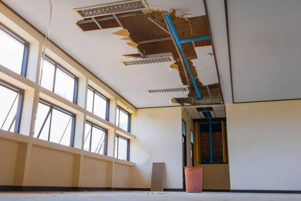 Best Water damage restoration near me  in Solana, FL