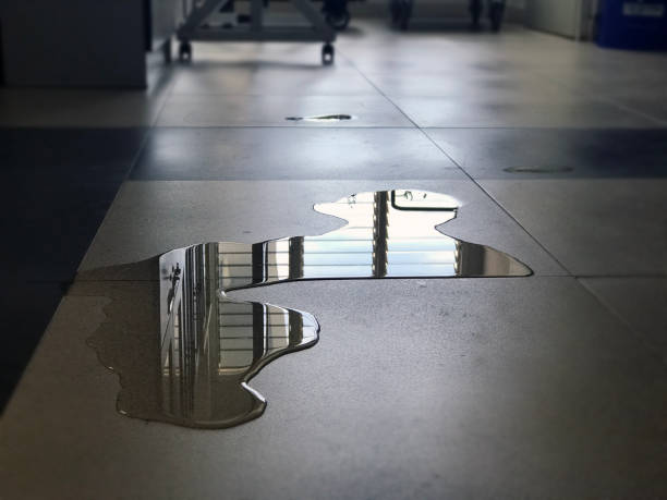 Best Water damage restoration services  in Solana, FL