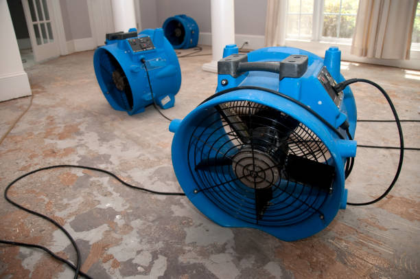 Best Water damage cleanup near me  in Solana, FL