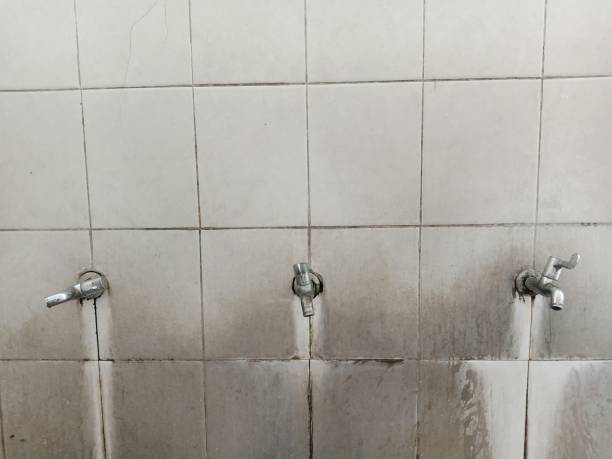 Best Flood damage cleanup  in Solana, FL