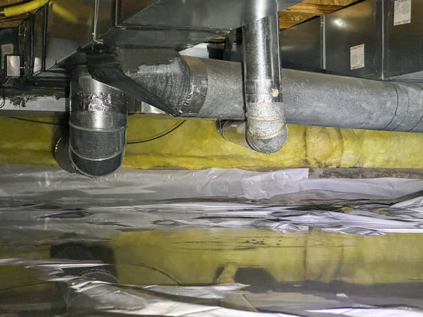 Best Flood restoration services  in Solana, FL