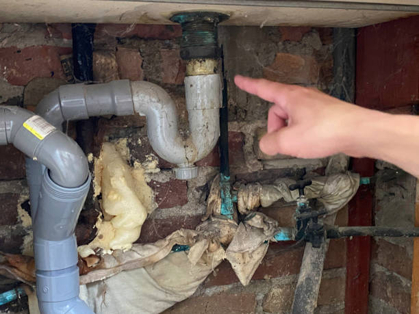 Best Sewage cleanup and water damage restoration  in Solana, FL